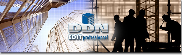 ddn edit professionel